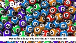 Đặc điểm nổi bật của soi cầu 247 rồng bạch kim
