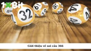 Giới thiệu về soi cầu 366