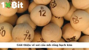 Giới thiệu về soi cầu mb rồng bạch kim
